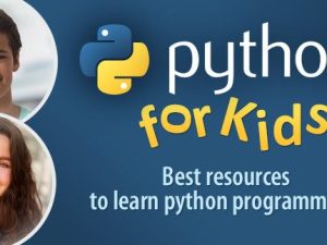 python-banner